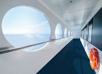 3M Window Tinting