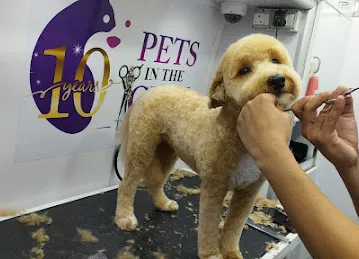 800-GROOM Pets in the City Mobile Grooming