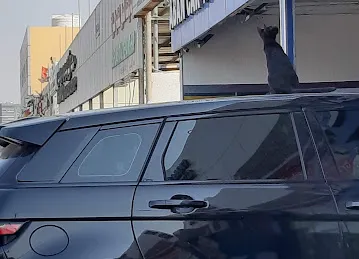ABAN CAR TESTING