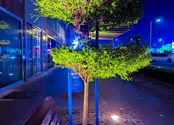 Abu Dhabi baladiya fountain - نافورة بلدية أبوظبي