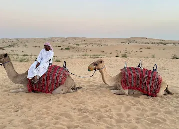 Abu Dhabi Desert Safari