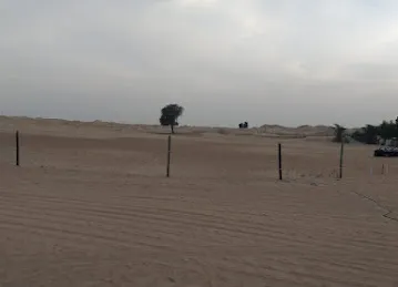 Abu Dhabi Desert Safari - Loc (01)