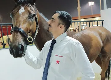 Abu Dhabi Equestrian Club