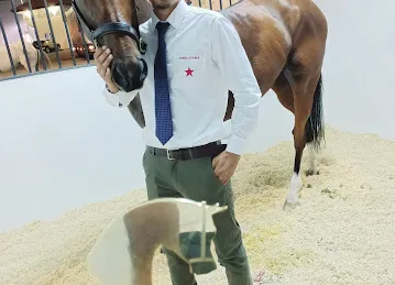 Abu Dhabi Equestrian Club