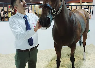 Abu Dhabi Equestrian Club