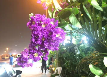 Abu Dhabi Flowers and Nursery Market