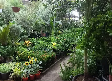 Abu Dhabi Flowers and Nursery Market