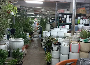 Abu Dhabi Flowers and Nursery Market