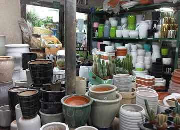 Abu Dhabi Flowers and Nursery Market