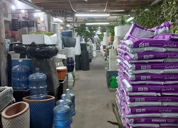 Abu Dhabi Flowers and Nursery Market