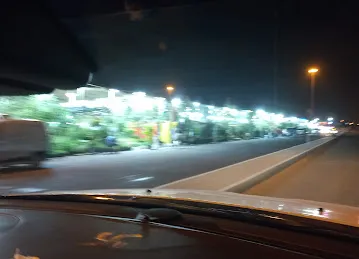 Abu Dhabi Flowers and Nursery Market