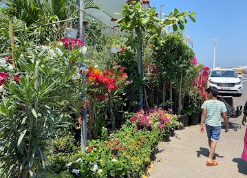 Abu Dhabi Flowers and Nursery Market
