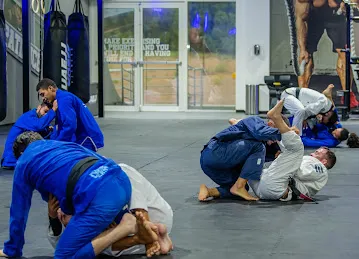 Abu Dhabi Martial Arts Academy
