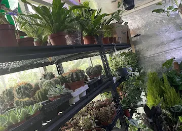 Abu Hanadi Nursery