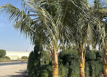 Abu Hanadi Nursery