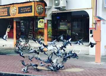 Adaminte Chayakada Cafeteria Karama