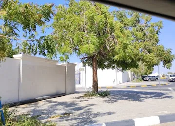 ADNOC Auto Car Wash | Maysaloon (783)