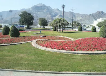 ADNOC Service Station | Al MARINE S/S (681)