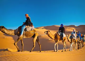 Adventure Tours