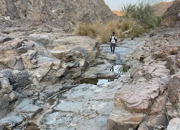 Adventures for life