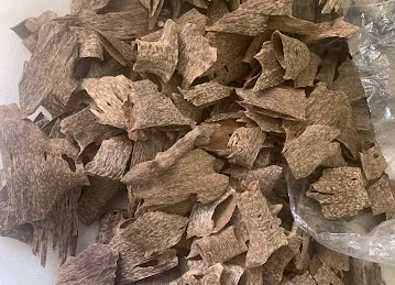 Aim Oud Thailand