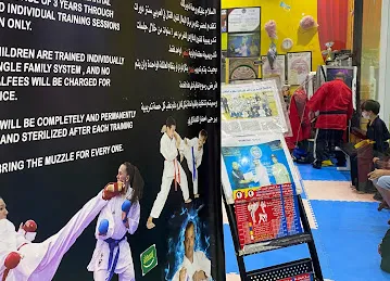 Aisha’s Charms arabian center