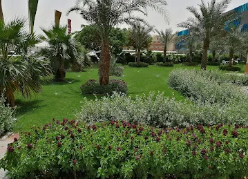 Ajman University J1 Building (Dentistry-Pharmacy)