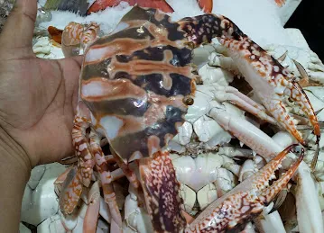 Al Adeeb Fish Trading L.L.C