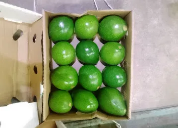 AL AFZAL WA ALAALA General Trading L.L.C