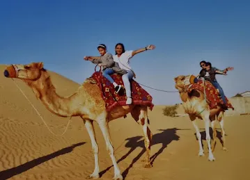 Al Ain Camel Safari