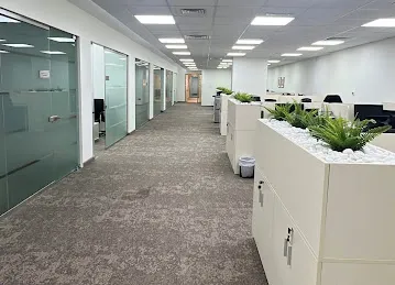 Al Ain Finance PJSC