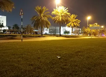 Al ain university side