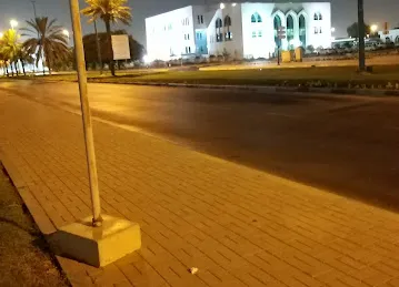 Al ain university side