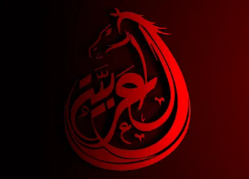 Al Arabia Marketing Company L.L.C (advertising)
