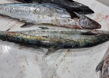 Al bahar al abyad fish trading LLC