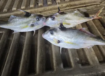 Al bahar al abyad fish trading LLC