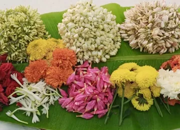 Al Basma Flowers & Sculptures (Formerly Madras Grocery)