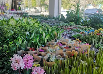 Al Bustan Plants & Flowers