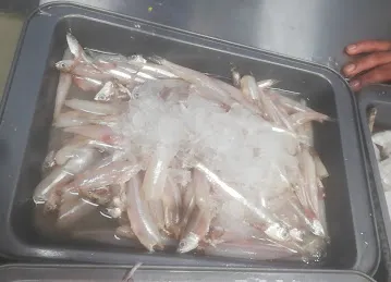 AL DAR TAZIJ FRESH FISH SELLER