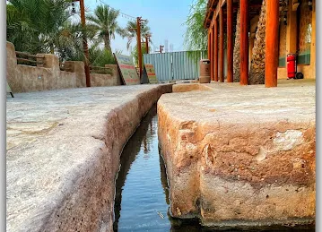 Al Dhaid Oasis واحة الذيد