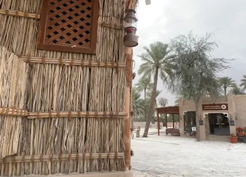 Al Dhaid Oasis واحة الذيد