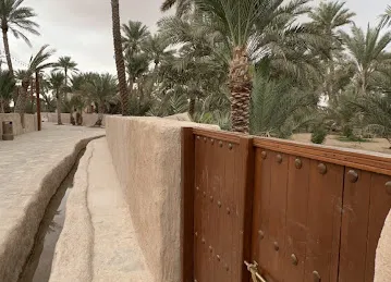 Al Dhaid Oasis واحة الذيد