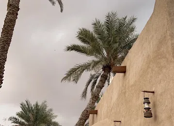 Al Dhaid Oasis واحة الذيد