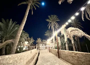 Al Dhaid Oasis واحة الذيد