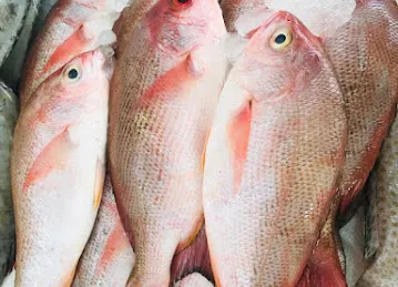 AL DUNIYA -Fresh Fish And Grills.