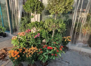 AL FARASHA FLOWER TR