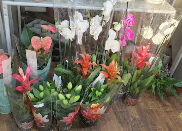 AL FARASHA FLOWER TR