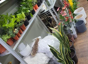 AL FARASHA FLOWER TR