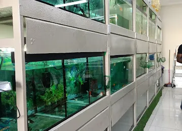 Al Faria Fish and Birds Trading LLC