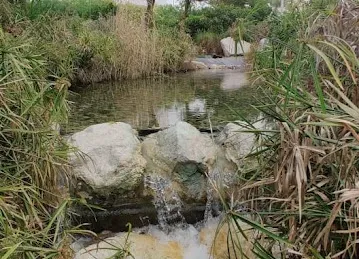 Al Ghadeer Abu Dhabi